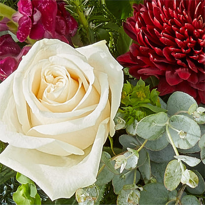 Cranberry Fizz Bouquet –  Luxesse Roses, Herriman UT
