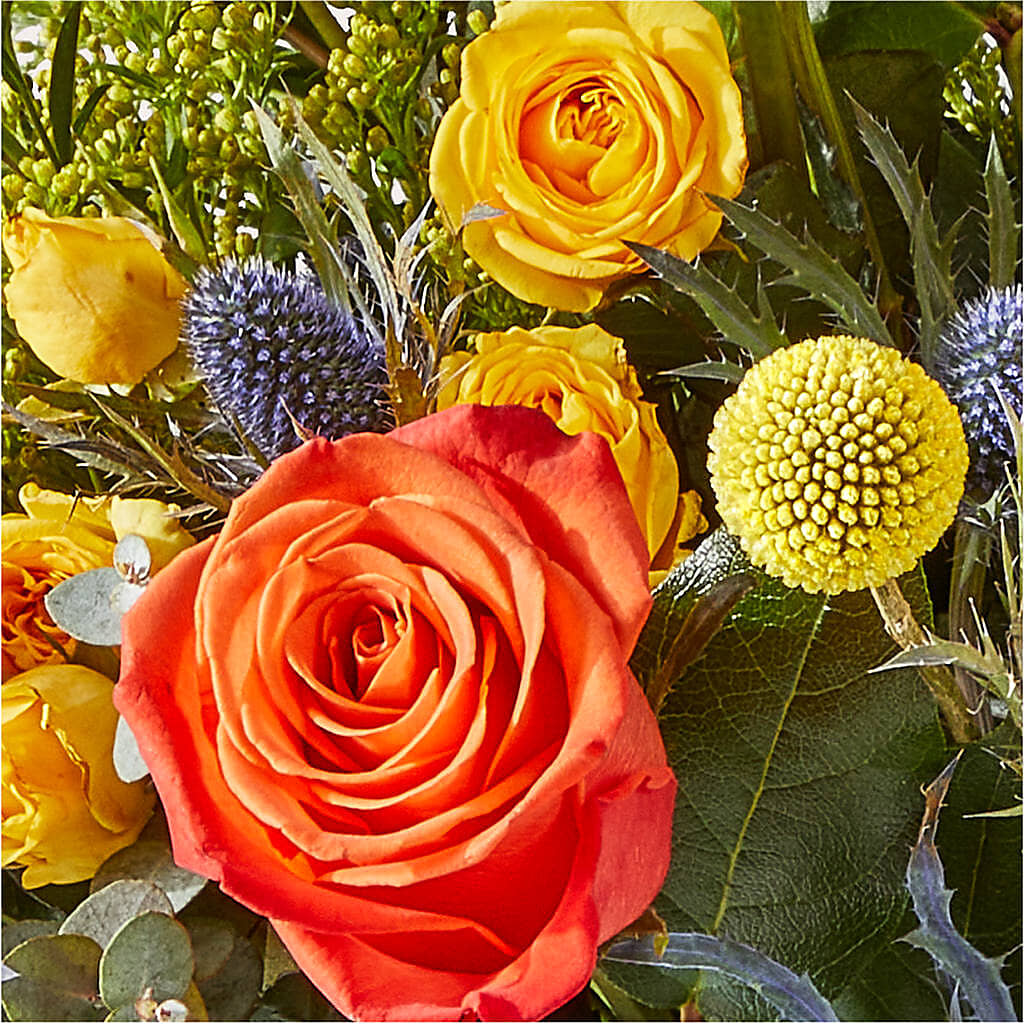 Disco Bouquet –  Luxesse Roses, Herriman UT