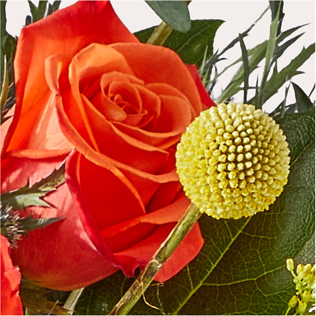 Disco Bouquet –  Luxesse Roses, Herriman UT