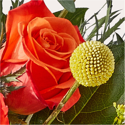 Disco Bouquet –  Luxesse Roses, Herriman UT