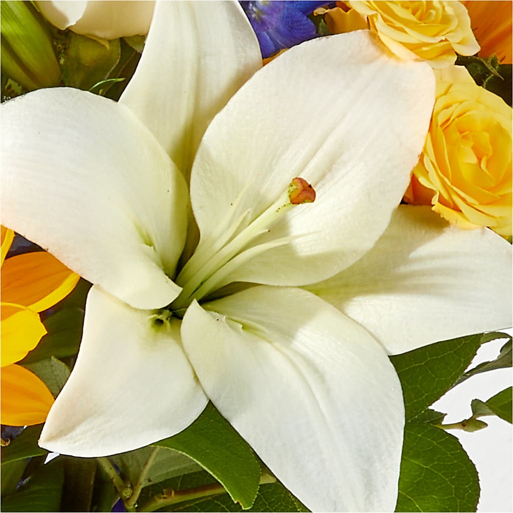 Wonderfully Sunny Bouquet –  Luxesse Roses, Herriman UT