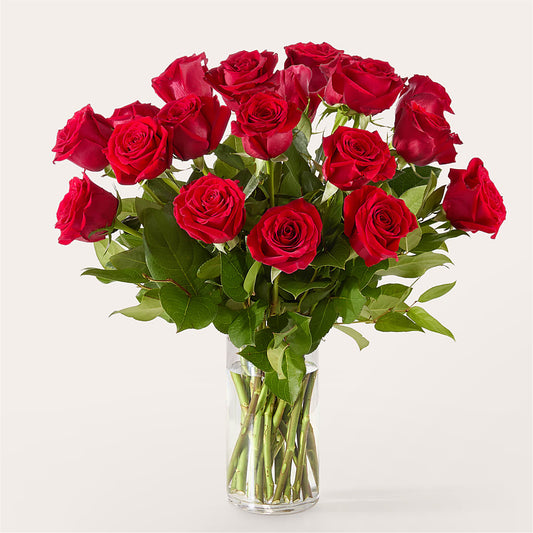 The One Red Rose Bouquet –  Luxesse Roses, Herriman UT