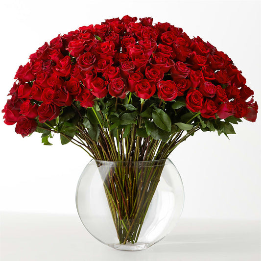 The Idealist –  Luxesse Roses, Herriman UT