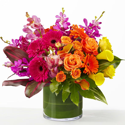 The Mosaic –  Luxesse Roses, Herriman UT