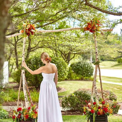 Arbor of Love Archway –  Luxesse Roses, Herriman UT